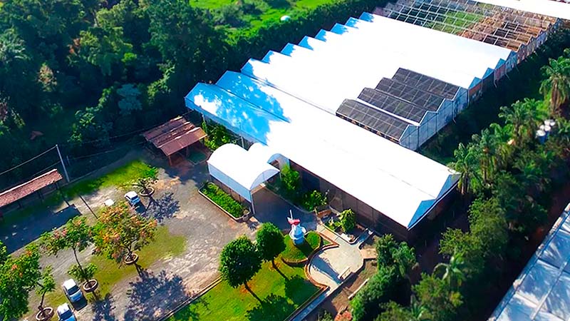 Investimentos em negócios nos setores de energia e infraestrutura, real estate, bancos, educação e alimentação.